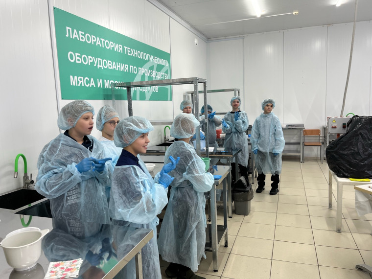 Профессиональные пробы.